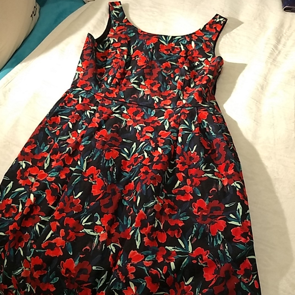 Lands'End dress